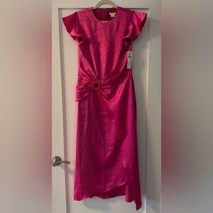 Shoshanna Raspberry Pink Dress
